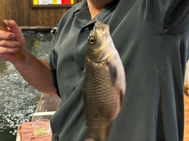 旦那が釣った魚