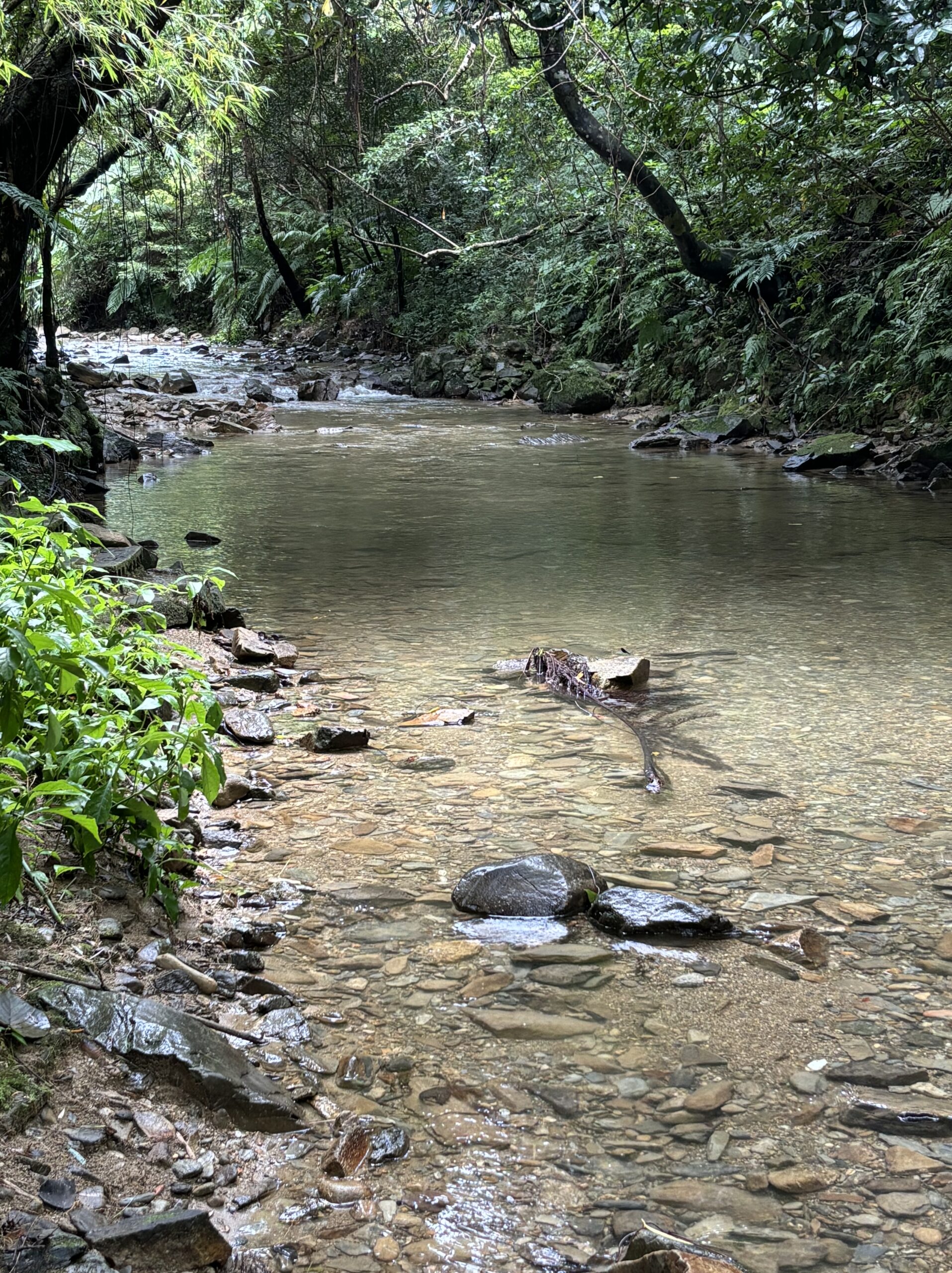 平南川の下流