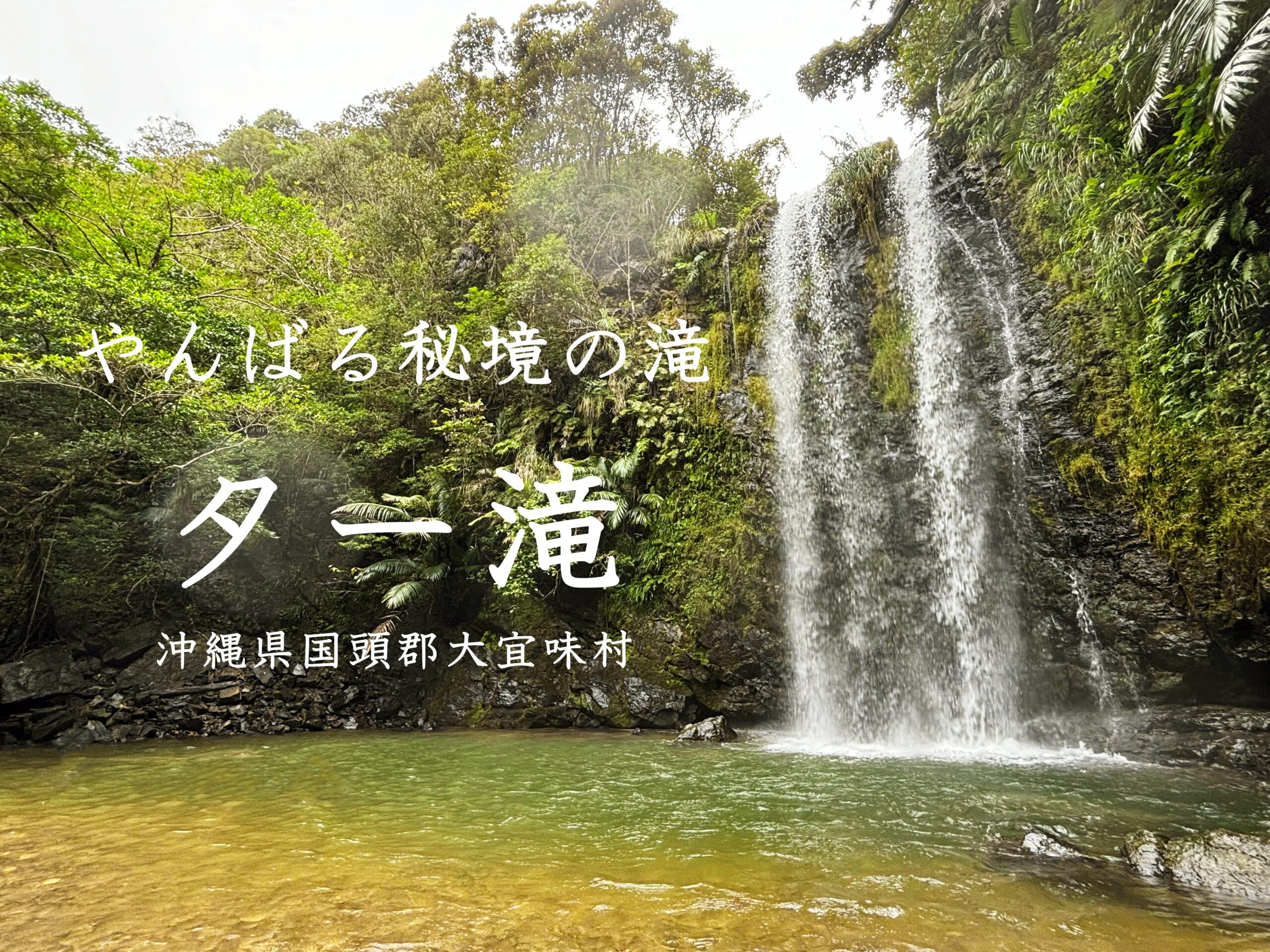 やんばる秘境の滝、ター滝、沖縄県国頭郡大宜味村