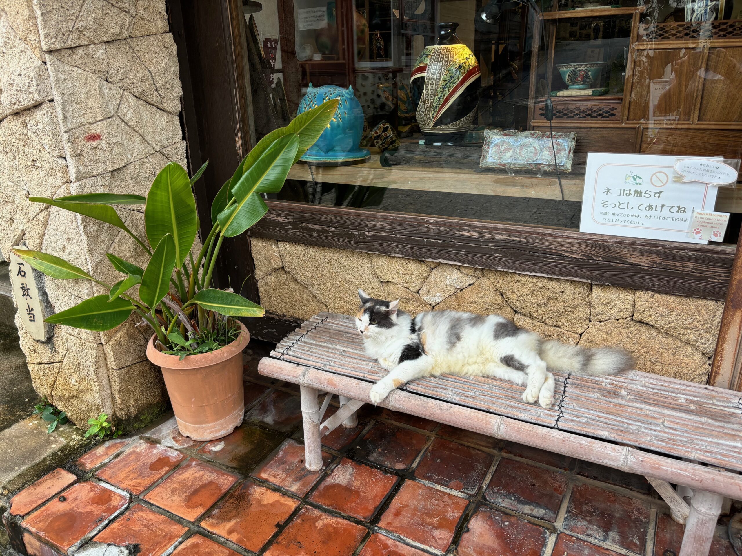 ベンチでくつろぐ猫