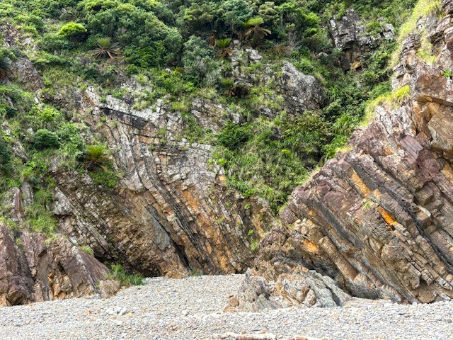 嘉陽層