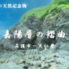 国の天然記念物　嘉陽層の褶曲（名護市‐天仁屋）