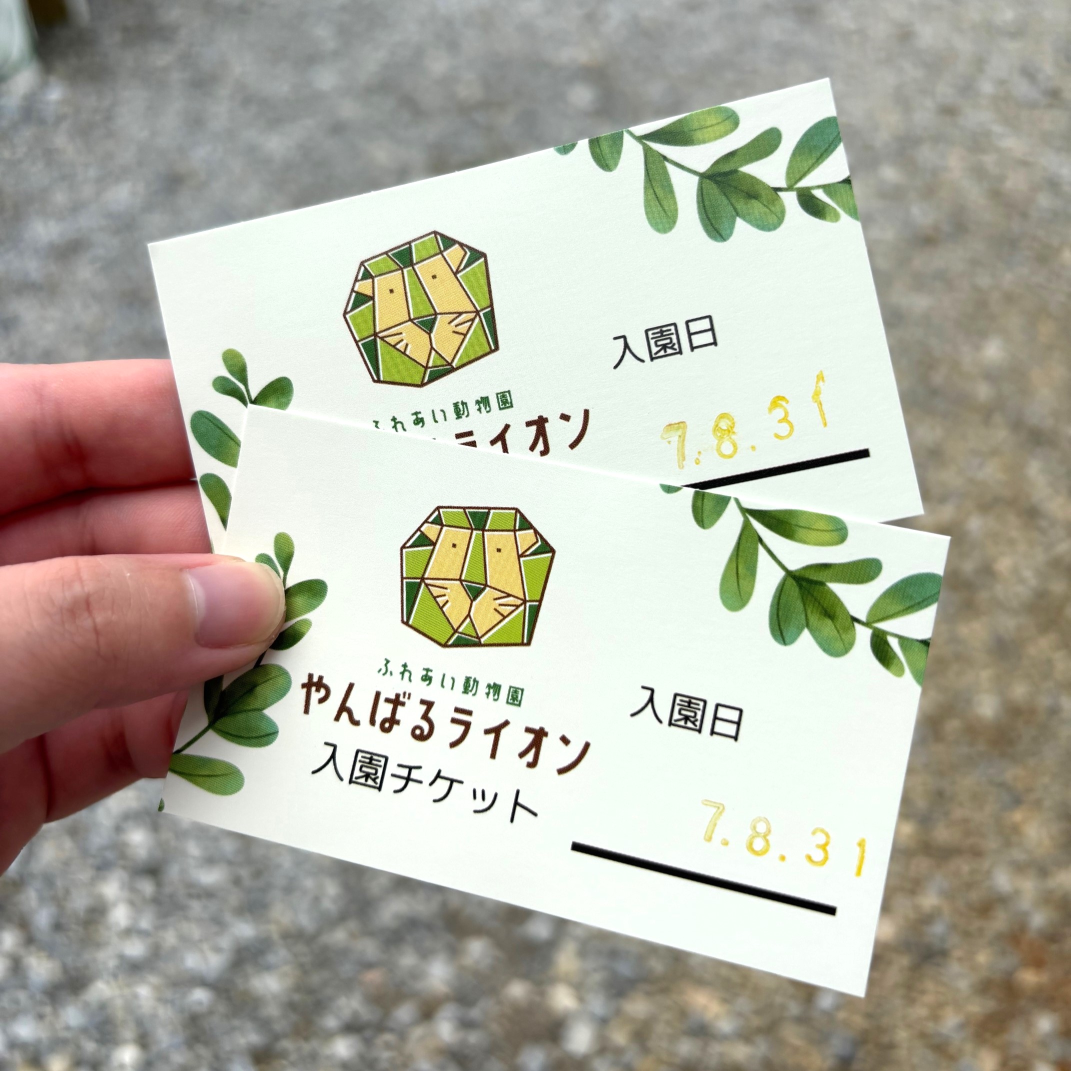 やんばるライオン入園チケット